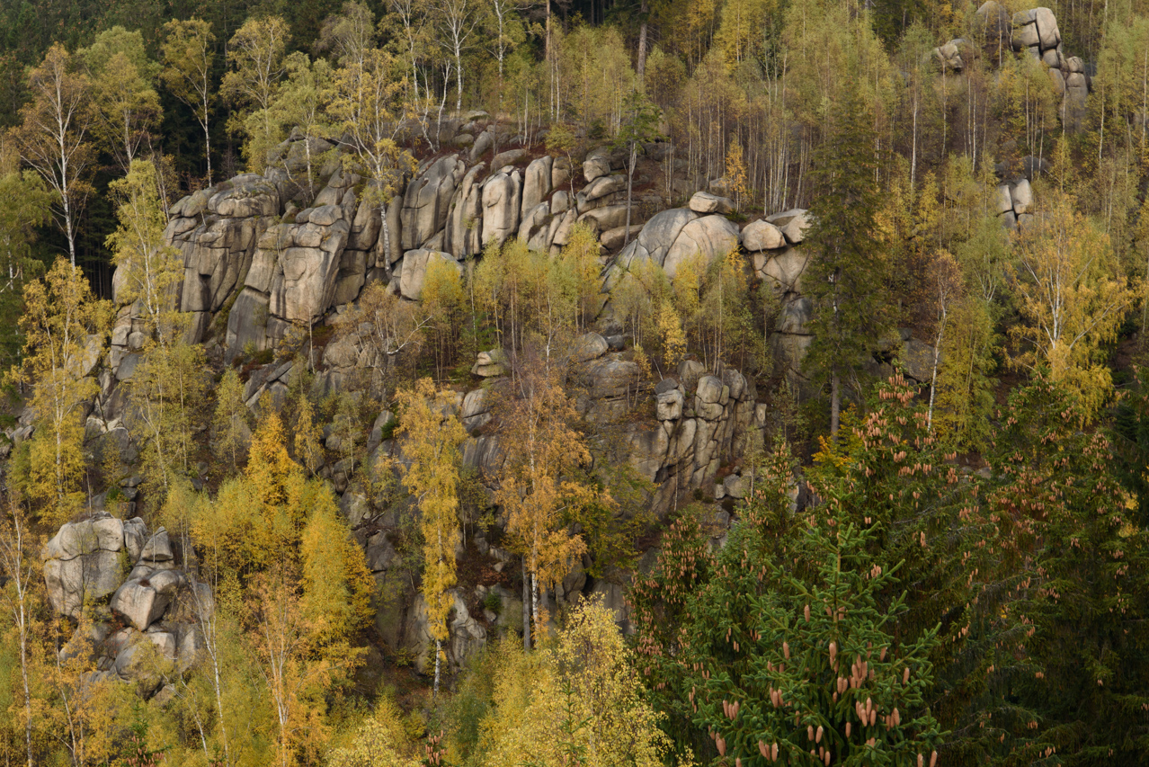 Die große Mannigfaltigkeit von Gesteinen gepaart mit der Eigentümlichkeit der Pflanzenwelt bildet den Charme des Harzer Waldes. Nationlalpark Harz, Deutschland
