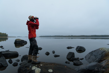 Es gibt so viel zu entdecken. Åsnen, Småland, Südschweden