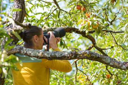 Im Fotorausch ist die Erfahrung mit den Hornissenstichen schnell vergessen. Foto: Rolf Wilhelm